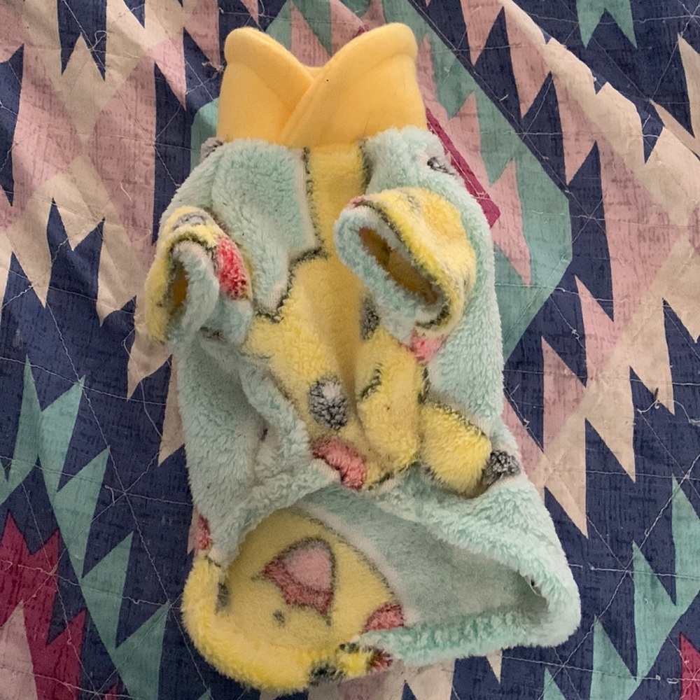 Dog coat